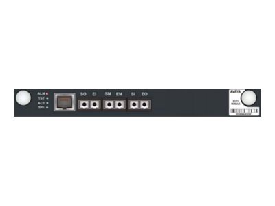 AVAYA - MM710B E1 / T1 MEDIA MODULE