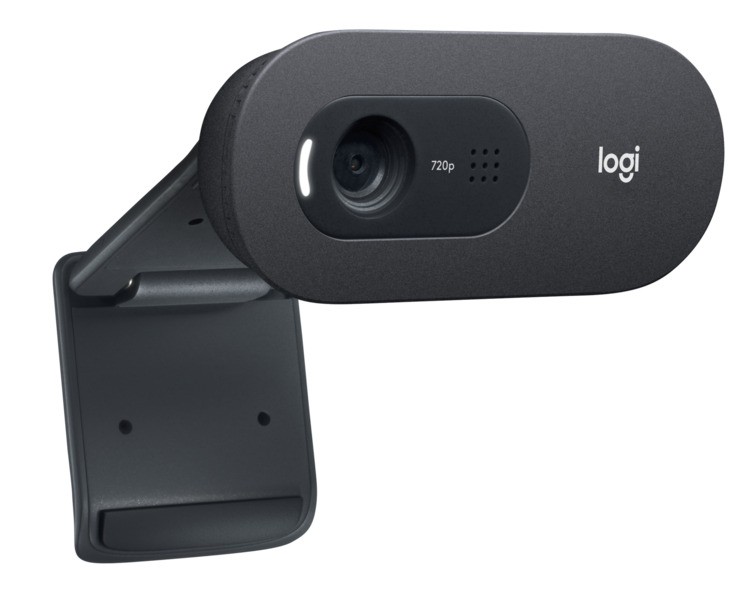 WEBCAM LOGITECH C505E HD D’AFFAIRES