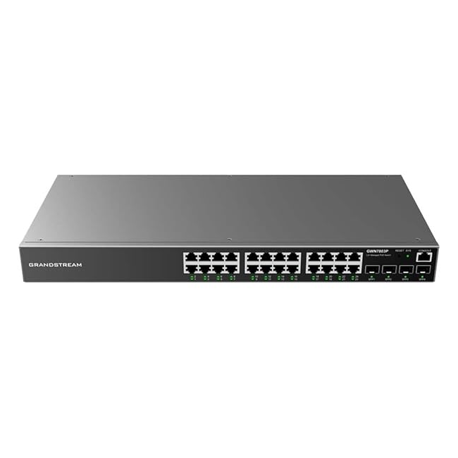 Grandstream GWN7801P Routeur RPV/VPN