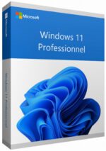 Microsoft Windows 11 Professionnel 64 bits Français (Licence originale + DVD) (FQC-10532) – Image 3