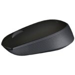 Souris sans fil Logitech M171 – Noir (910-004424)