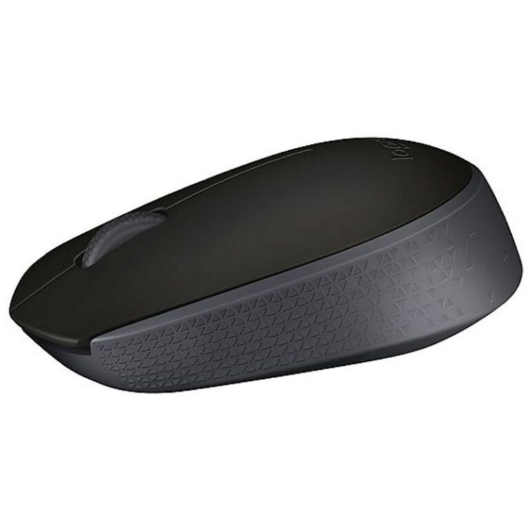Souris sans fil Logitech M171 – Noir (910-004424)