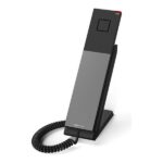 SNOM - HD300