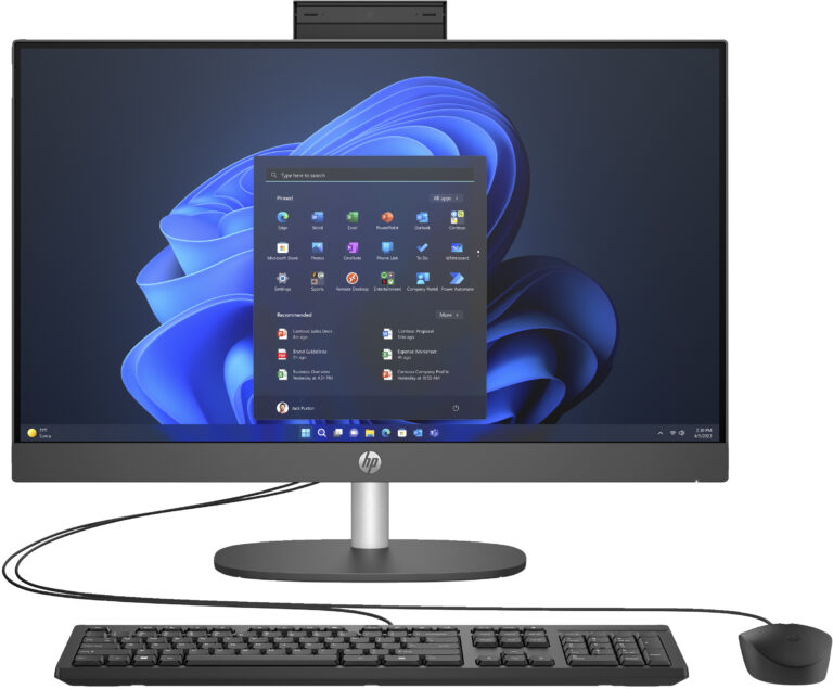 ORDINATEUR DE BUREAU TOUT-EN-UN HP AiO ProOne 240 G10 i5 13th Noir (9H6E5ET)