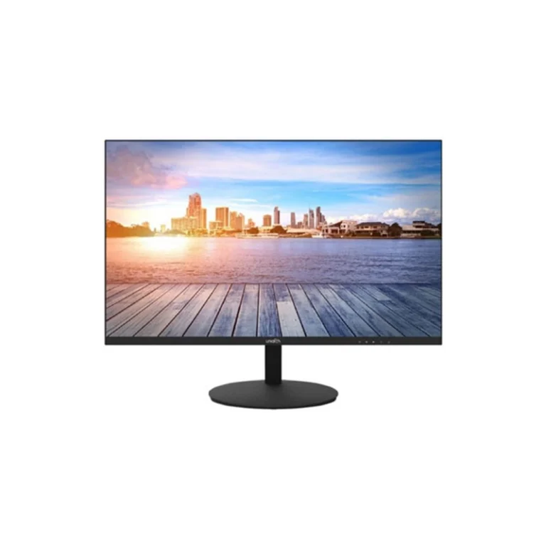 MT-24-L – Moniteur LED 24″ Full HD 16:9 178°