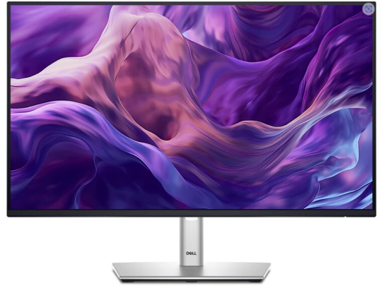Écran DELL P Series P2425H FHD (P2425H)