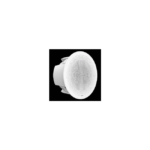 Grandstream GSC3506 Haut Parleur SIP