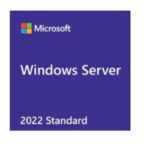 Windows Server 2022 Standard – 64 bits, Français, 24 cœurs, DVD (OEM) (P73-08347)